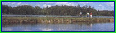 Biotop Waldnaabaue für eine Tagesunternehmung